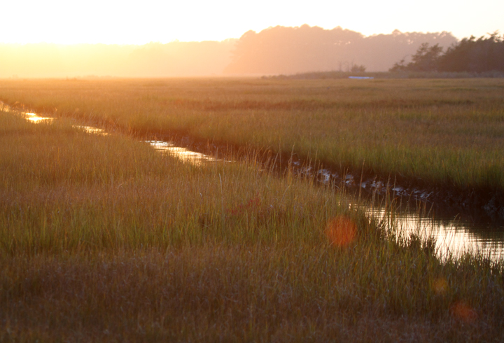 The sun sets over the salt marsh at Georges Island Landing, Maryland (10/26/2010). Photo by Bill Hubick.